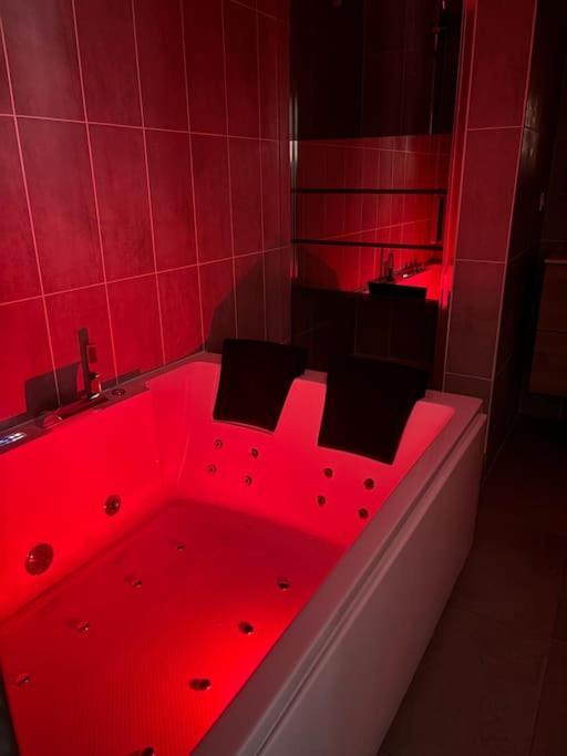 Mozart Cosy Love Room Chasse-sur-Rhône Extérieur photo